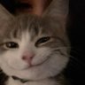 anonim profil fotoğrafı