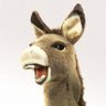 PuppetSeductress๐๐งธ's profile picture
