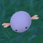 LuixenS's profile picture