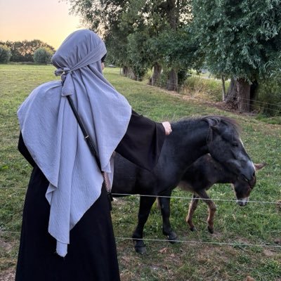 albkr_sama's profile picture