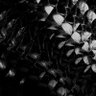 Фото профиля č̶̹ľ̶̝ẹ̶͊ā̸̙n̸̔͜_̷̧̎s̵̫̊ẗ̴̢́ả̵̤t̸͓̂i̶͊͜c̵̳͊