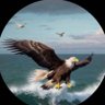 Eagle 🦅 profil fotoğrafı