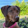 Charlie T. profil fotoğrafı