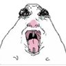 Ezra cottier's profile picture