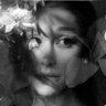 petal updates ꕤ's profile picture