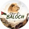 Фото профиля SherEBaloch