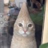 Profilbild von Glizzy