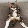 a's profile picture