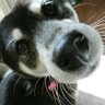 Profilbild von JUNKO