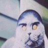 laso rita profil fotoğrafı