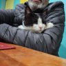 Profilbild von Eduardo