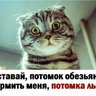 kongo profil fotoğrafı