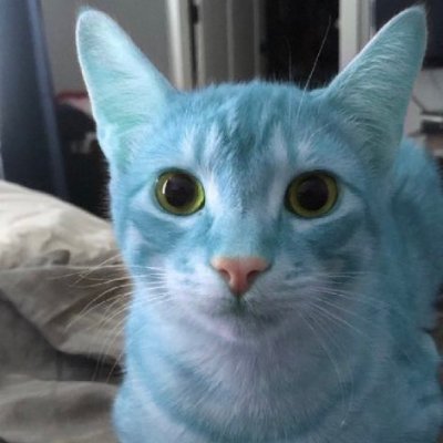 Codlalol's profile picture