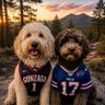 Ziggy Zaggy's profile picture