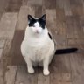 William's profile picture