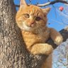 不设限 profil fotoğrafı