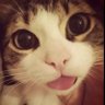 gazzi's profile picture