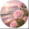 Rima🥀's profile picture