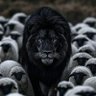 AـMـYـN ٲمين profil fotoğrafı