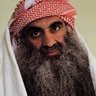 شیخ ابوالپَشم کُندُری's profile picture