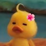 ᵖˡˢ manziii 的头像