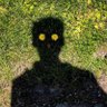 Profilbild von Mr.gx