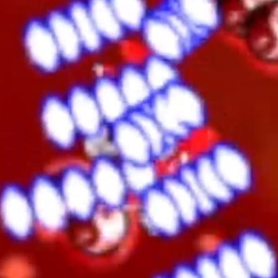 ifc_srh's profile picture