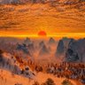 SolRising🐲 profil fotoğrafı