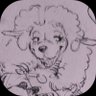 Profilbild von raii
