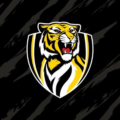 Richmond_FC's profile picture