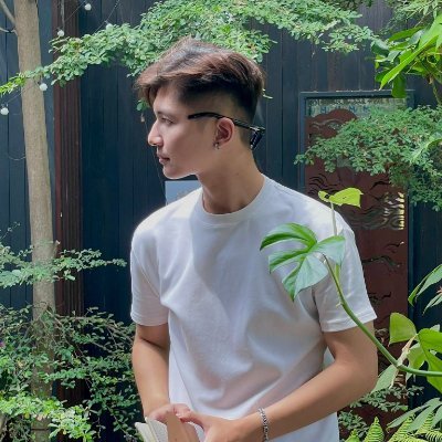 Nguyenvikhang05's profile picture