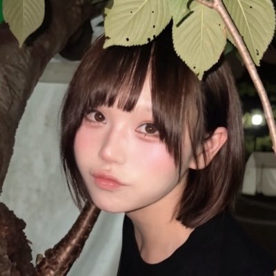 kai_zokuooo's profile picture