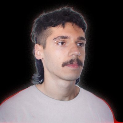 theleotrajkoski's profile picture