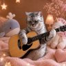 +sapi(さぴ) profil fotoğrafı