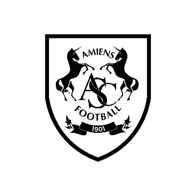 Amiens SC's profile picture