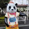 Profilbild von 涼