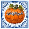 شجرة اليقطين لقراءة وتلاوة القرآن الكريم's profile picture