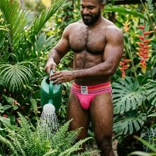South Asians in Undies Daily's profile picture