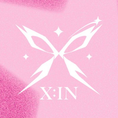 X:IN_OFFICIAL's profile picture