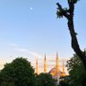 Фото профиля محمد حسين الخير