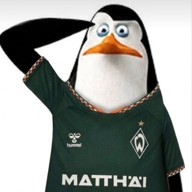 kulliscouting's profile picture