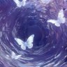 Фото профиля いのり