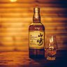 (仮)志藤大地's profile picture