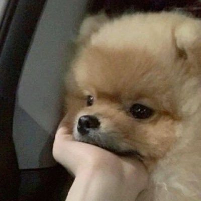 뿌..'s profile picture