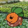Profilbild von 陳奕德(ねっ子フライ🍑🥟🍀🔺💚)