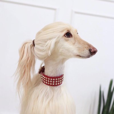 Pamchenkova's profile picture