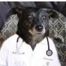 Profilbild von Dr. Olielton