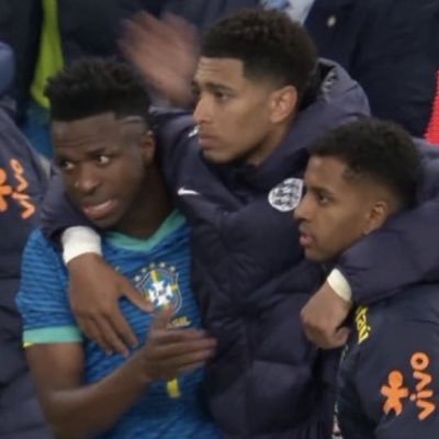 OwnedByVini's profile picture