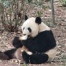落苼's profile picture