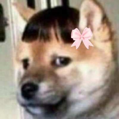Begin_bekinn's profile picture